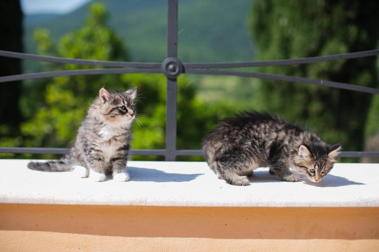 Borgo Incantato Spoleto Pompagnano Dış mekan fotoğraf
