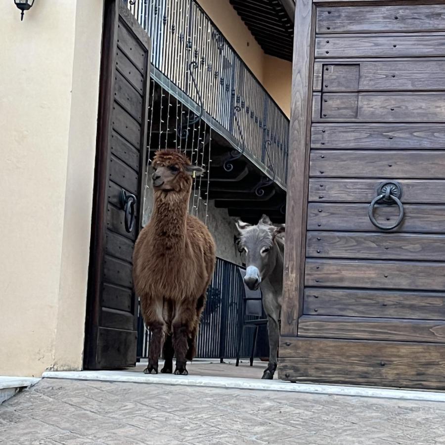 Borgo Incantato Spoleto Pompagnano Dış mekan fotoğraf